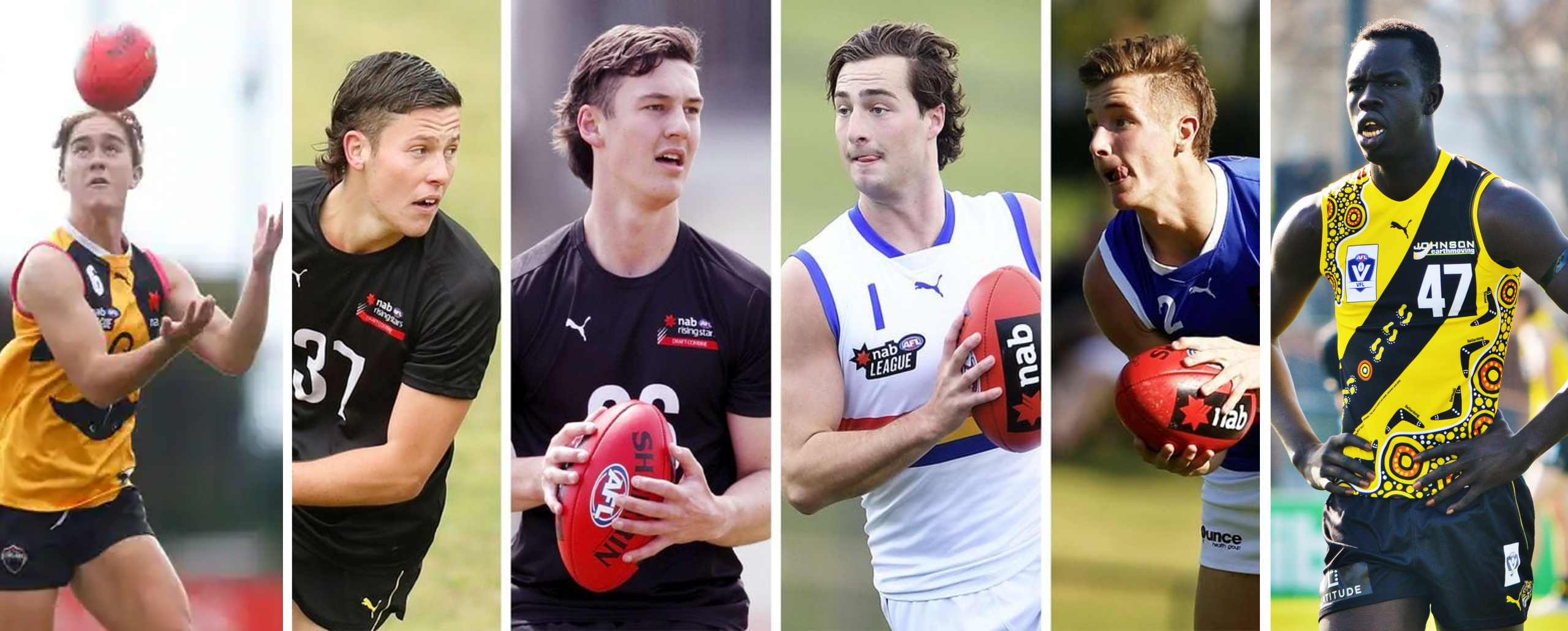 afl drafts