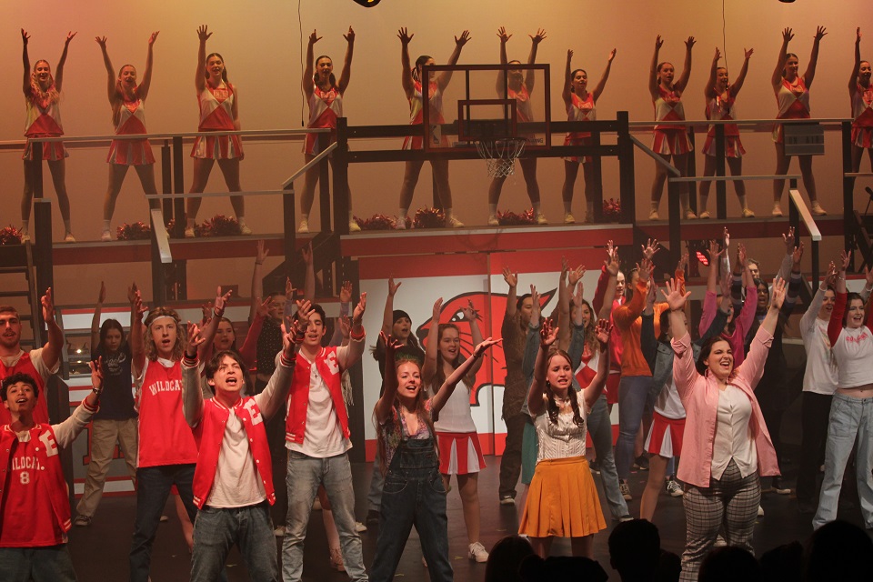 hsm website 04