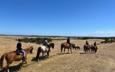 Year 7 Camp Adventure